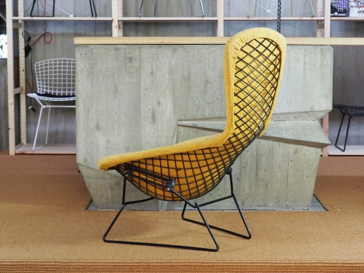 Knoll International Bird Chair mit Hopsack Orange