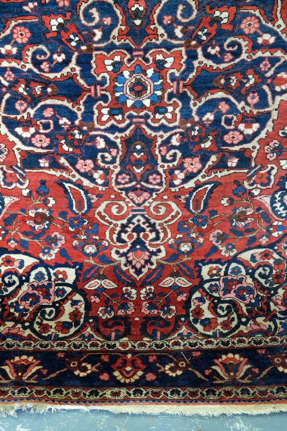 Image 1 of Beautiful Bachtiar from Iran