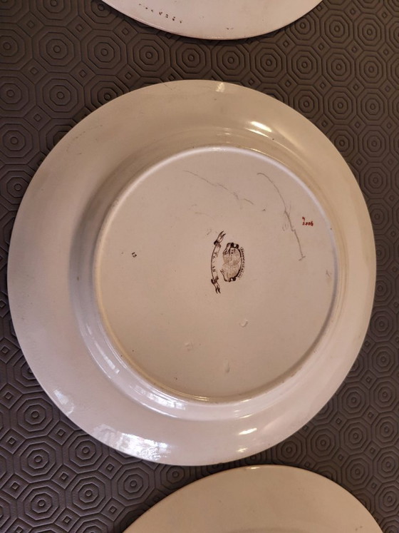 Rare Set of Victorian Brownfield & Sons "Texas" Pattern Plates, England, Circa 1880 (8) – Tableware, Ceramic (photo 6 of 18)