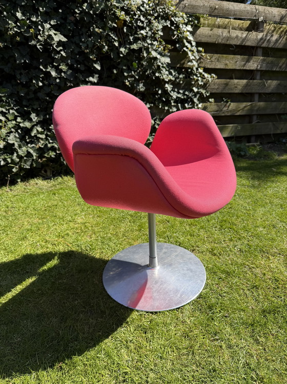 Image 1 of Little tulip Artifort (pink)