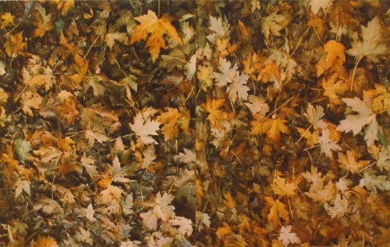 Image 1 of Wim Dibbets-----Mostra Leo Castelli 1973 New York