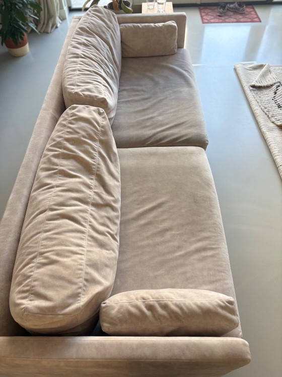 Divano Fest Amsterdam miller 3,5 posti, Divani 3 posti, Altro, Beige (foto 3 di 6)