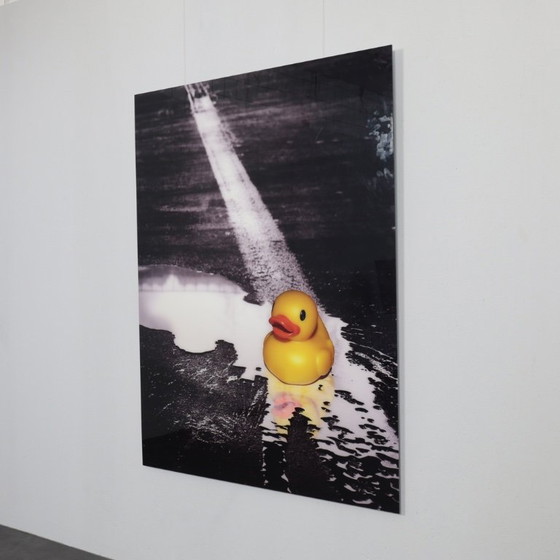 Image 1 of Ivana Vostrakova – “Spring Swimming” Digital Artwork, 2013