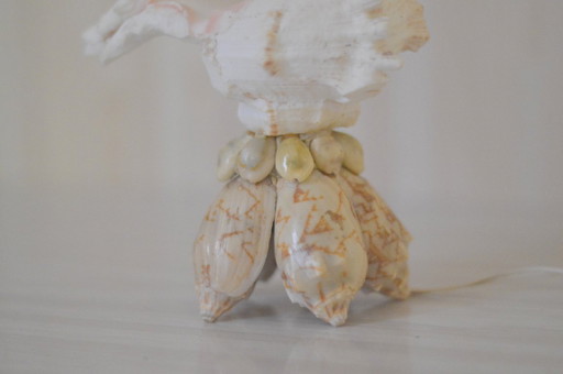 Shell lamp