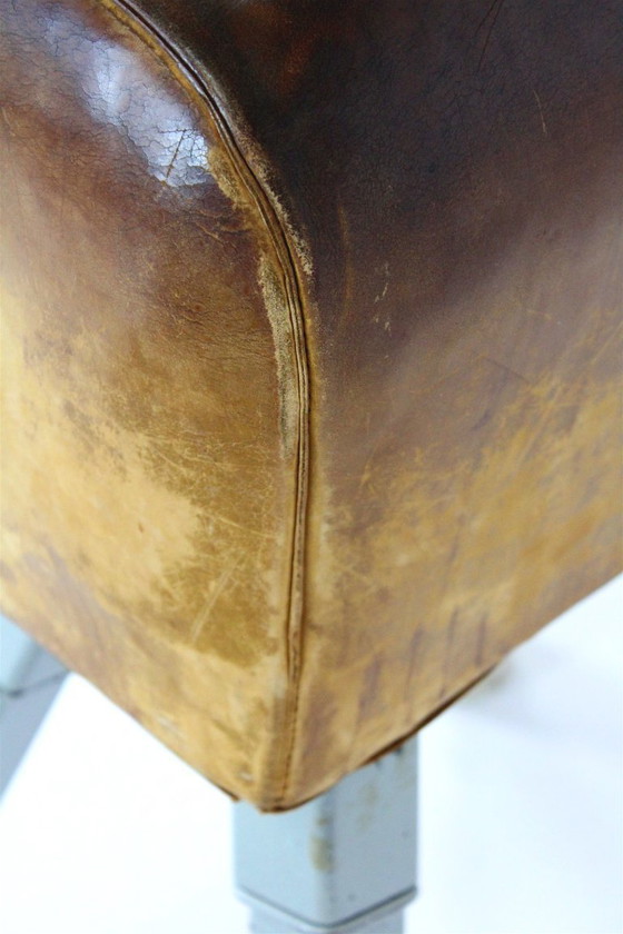 Image 1 of Cavallo da Ginnastica vintage in pelle con trampolino, anni '60, set di 2