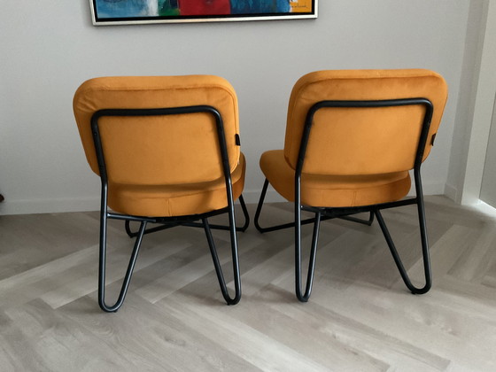 Image 1 of Fauteuil en velours Bronx71, lot de 2