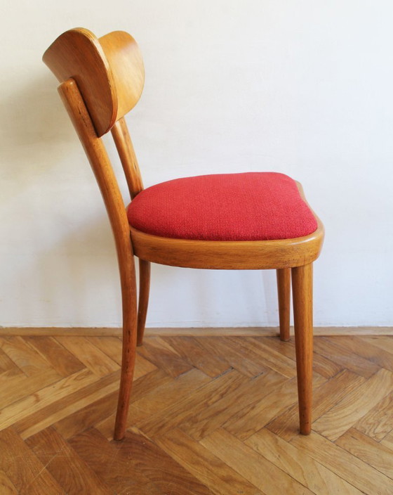Image 1 of Juego de cuatro sillas de comedor Thonet, finales de la década de 1940
