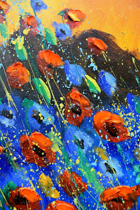 Image 1 of Coquelicots rouges