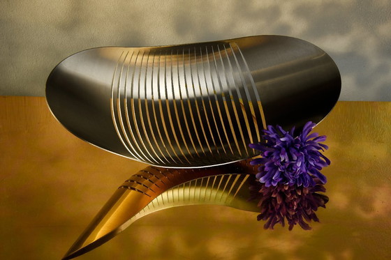 Image 1 of RVS - Calypso - Designschaal