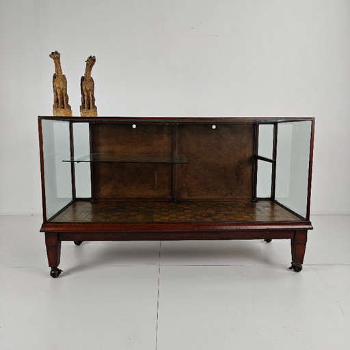 Vetrina/bancone di negozio inglese (1910–1920)