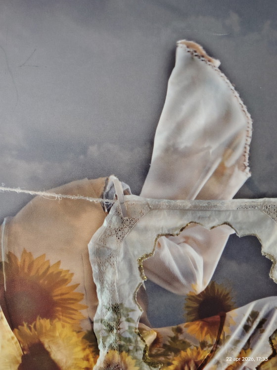 Image 1 of 2 obras fotográficas; título: girasol