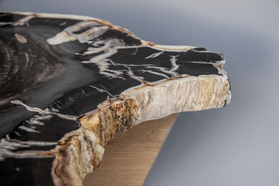 Image 1 of Petrified wood coffee table