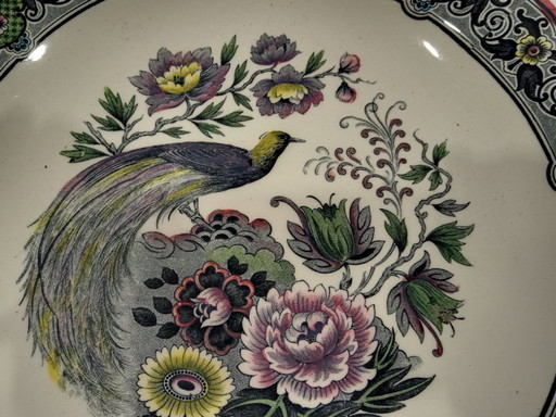 Petrus REGOUT Large collector's sign BIRD OF PARADISE In perfect condition