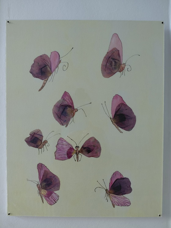 Image 1 of “Butterflies in the Air” Gallery Suncorner