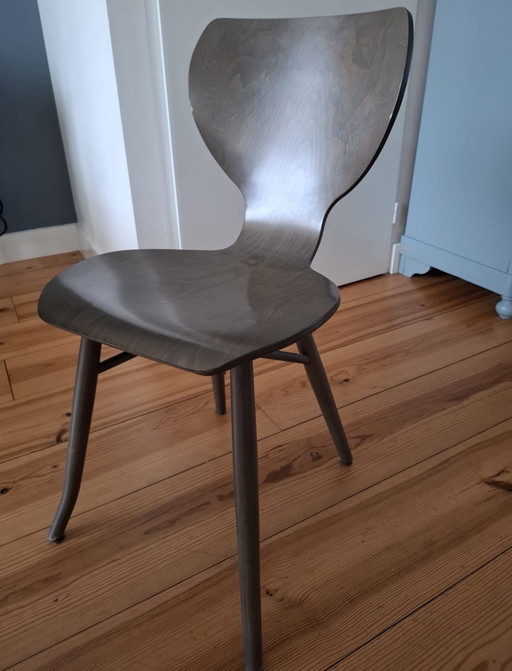 5 sedie Tulipani | Roderick Vos | Dutch Design