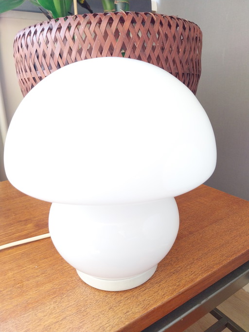 Mushroom lampje 