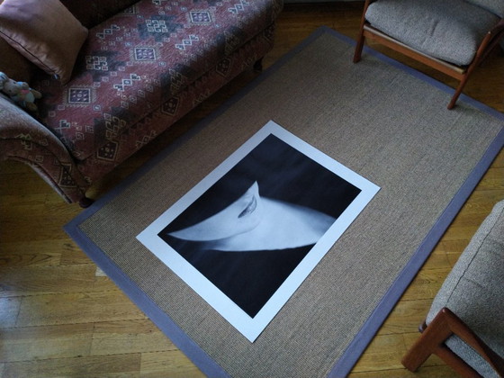 Image 1 of Michiel Ibelings, Monique 1981