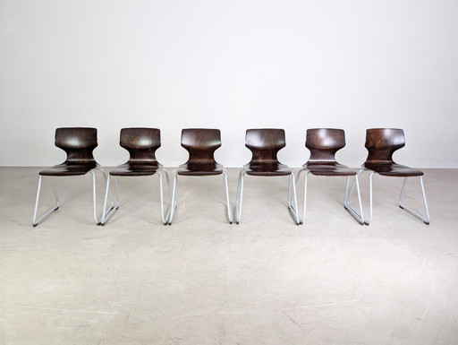 Conjunto original de 6 sillas de madera pavimentadas de mediados de siglo de Adam Stegner, silla ASS