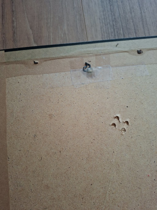 Deux superbes photos signées par Riona MacMonagle, dans leurs cadres d'origine.