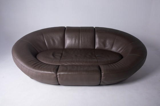Image 1 of Einzigartiges Cocoon-Sofa aus Büffelleder