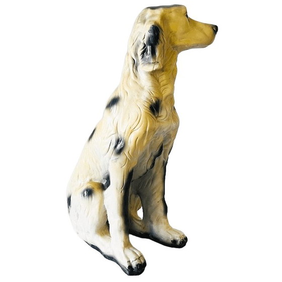 Image 1 of Vintage mid-century XL Italian dog statue English setter plaster 68 cm 1970s