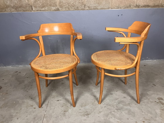 Image 1 of Thonet 233 replicas bentwood webbing vintage