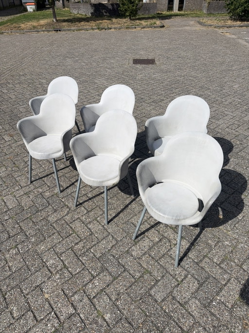 6x Marcello Ziliane Sinesto Gogo chair