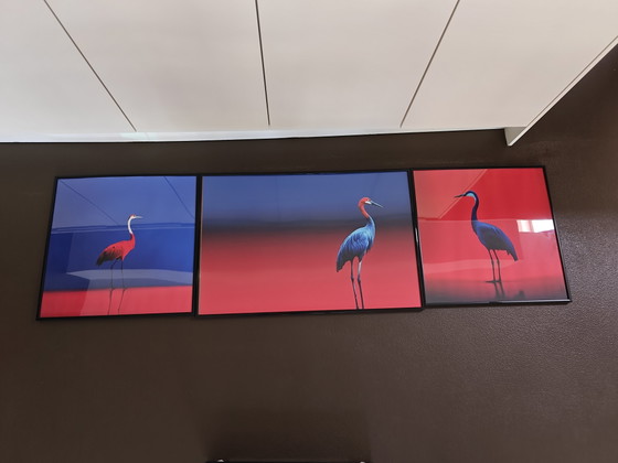 Photographies Eric Lespinasse – Glass, Metal (photo 5 of 8)