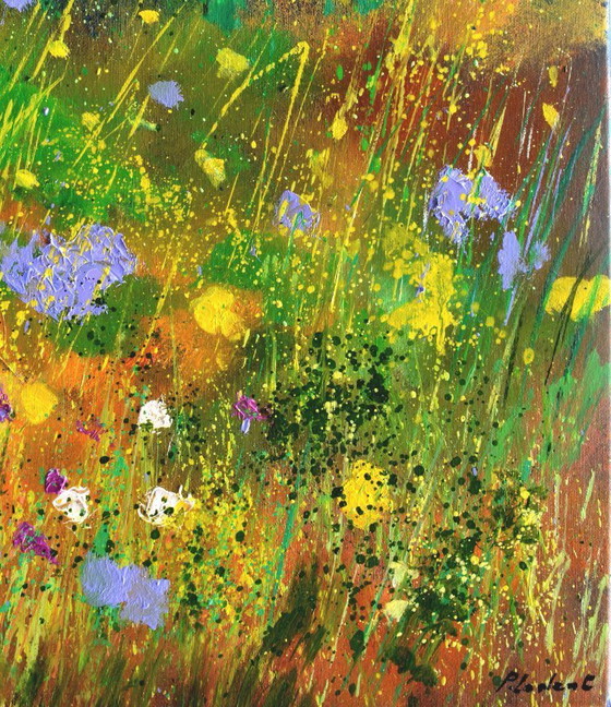 Image 1 of Wild flowers in the wood