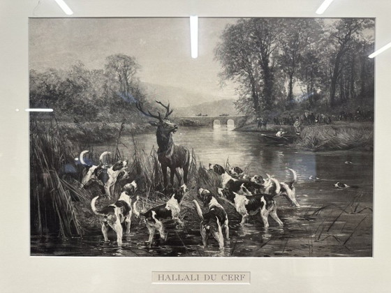 Estampe "Hallali du cerf" – Objets d'art, Verre, Papier (photo 2 of 5)