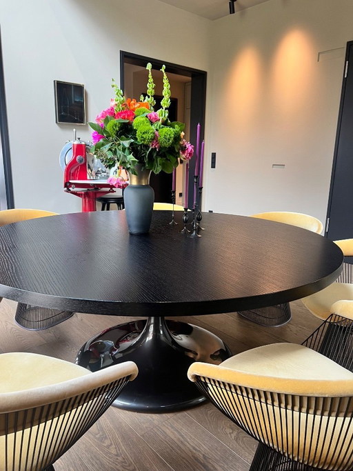 MINOTTI dining table (round, 180cm), model Neto