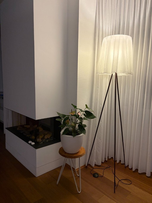 DEsign Flos Rosy Angelis vloerlamp