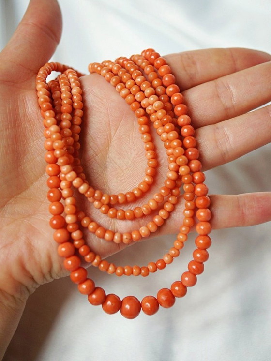 Image 1 of Très long sautoir ancien Art Déco en corail naturel perles en chute 2m