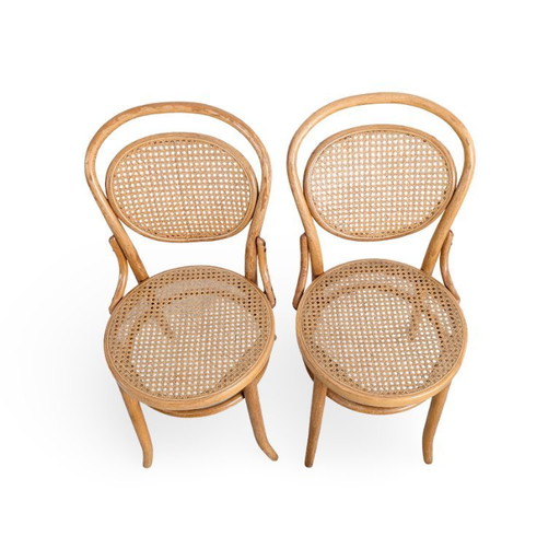 Set di 2 sedie originali in legno curvato J J Kohn Mundus, simili alla Thonet n. 15