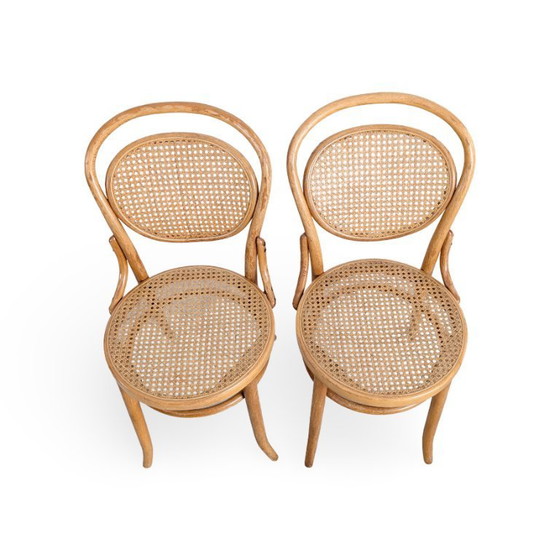 Image 1 of Set di 2 sedie originali in legno curvato J J Kohn Mundus, simili alla Thonet n. 15