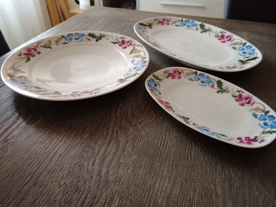 Image 1 of 3 assiettes de service de la marque Dauer C P Désirée - années 1940-1950