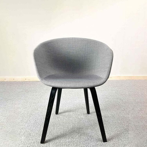 Hay Aac23 Meeting Chair