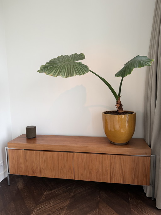 Design Sideboard / Lowboard Teak & Aluminum