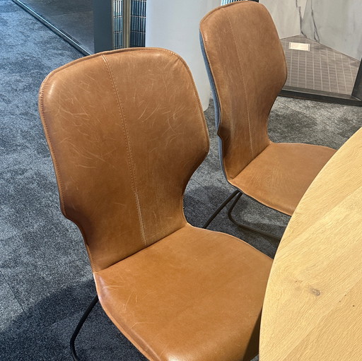 Chaise de salle à manger Musterring Nevio (lot de 6)