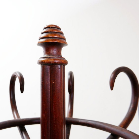 Image 1 of Grote kapstok van gebogen hout in de stijl van een papegaai, in de Thonet-uitvoering – begin 20e eeuw