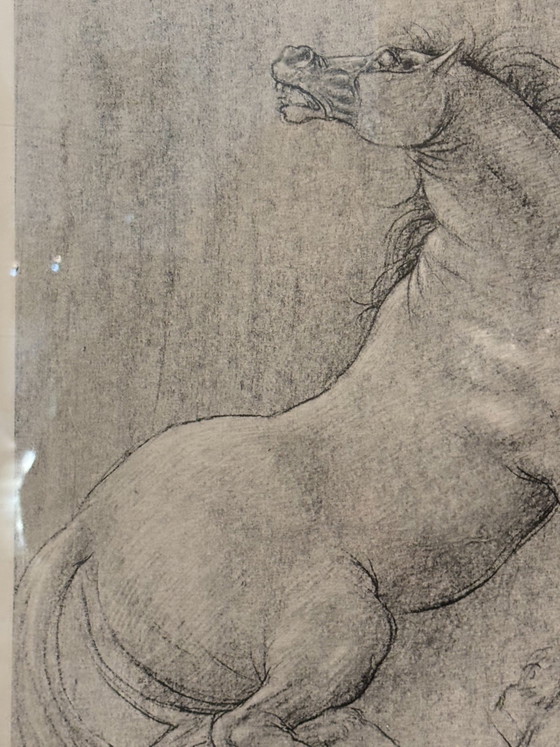 Francesco Messina Horse Lithograph, 1960s – Paintings & Drawings, Paper, Figuratief (photo 6 of 9)
