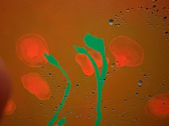 Image 1 of abstract artwork with flowers