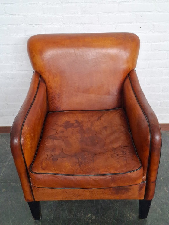Poltrona Sheepskin Club – Poltrone, Leather, Wood (photo 7 of 10)