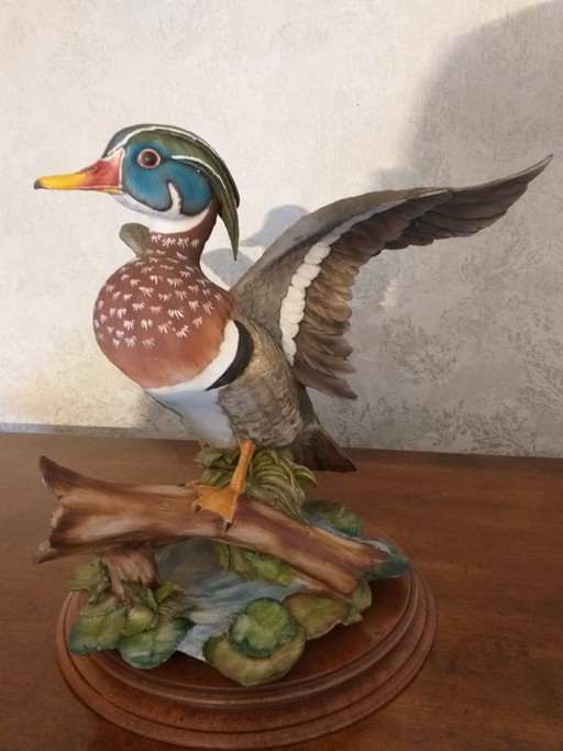 Galleta Porcellane Edordo Tasca – beeldhouwkunst, Porcelain, Wood