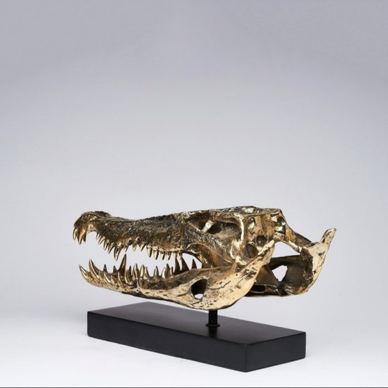 Image 1 of Sooka Sculpture, saltwater crocodile skull 37 cm bronze