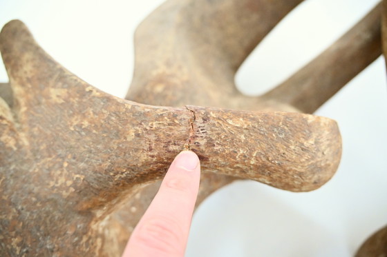 Image 1 of Coffee table by Claudio Trevi, 1970s