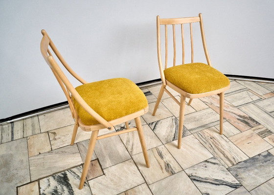 Image 1 of Set of two Vintage Chairs, designed by A. Suman in Czechoslovakia, 1960s
