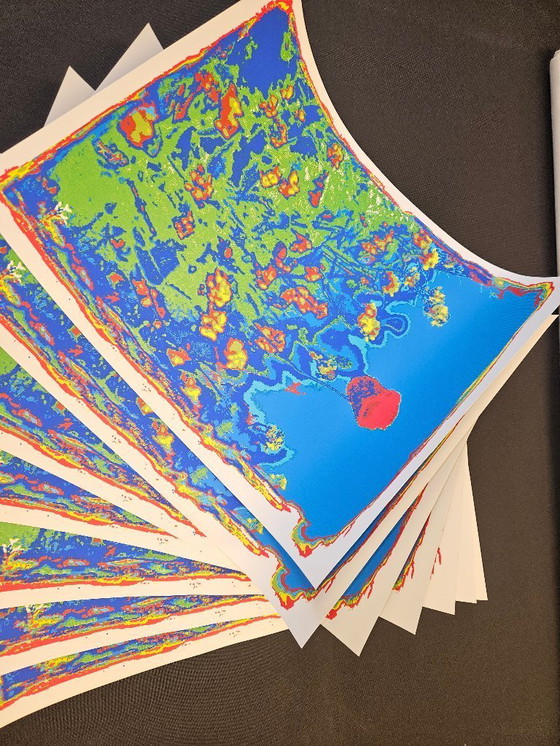 Image 1 of Zeefdruk op dik papier Henk van der Vet tulp