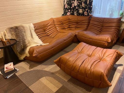 Ligne Roset Togo Set 5 Teile