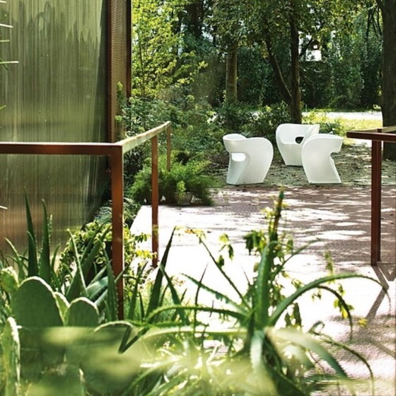 Image 1 of Sedia bianca MOROSO ALBERT - Fauteuil blanc MOROSO ALBERT